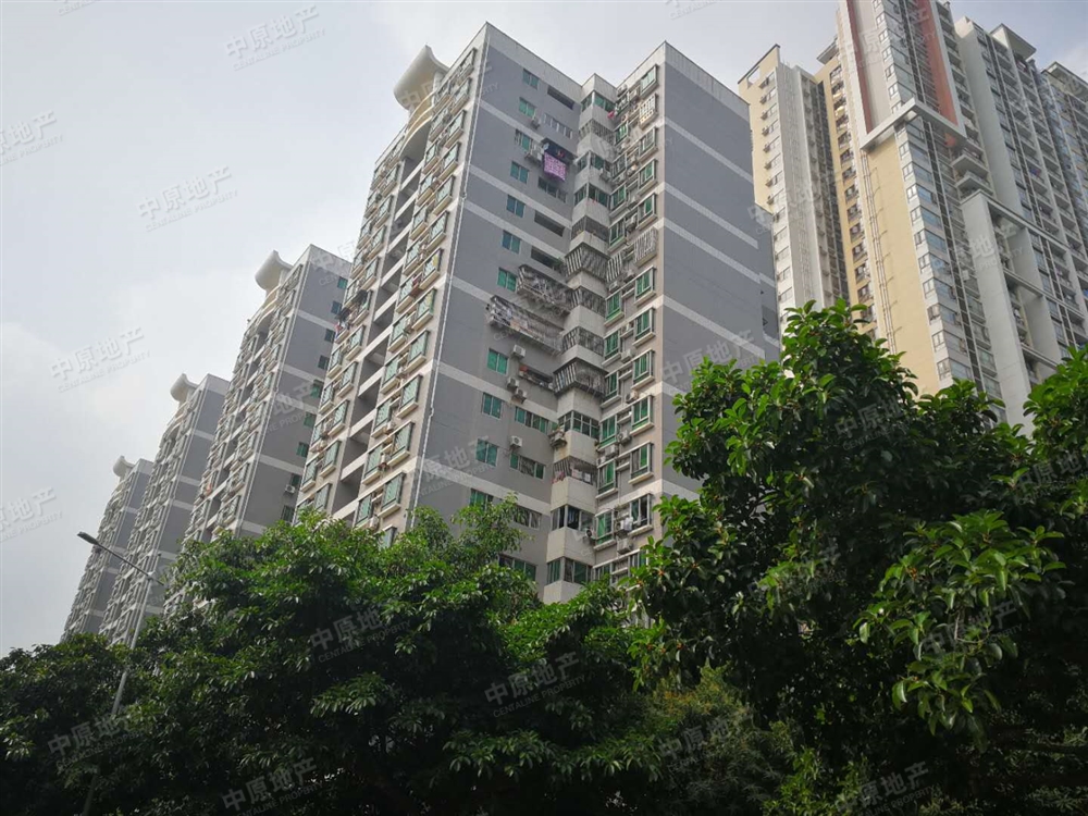 珠江畔 誉城苑 电梯高层两房 少有低总价两房放卖